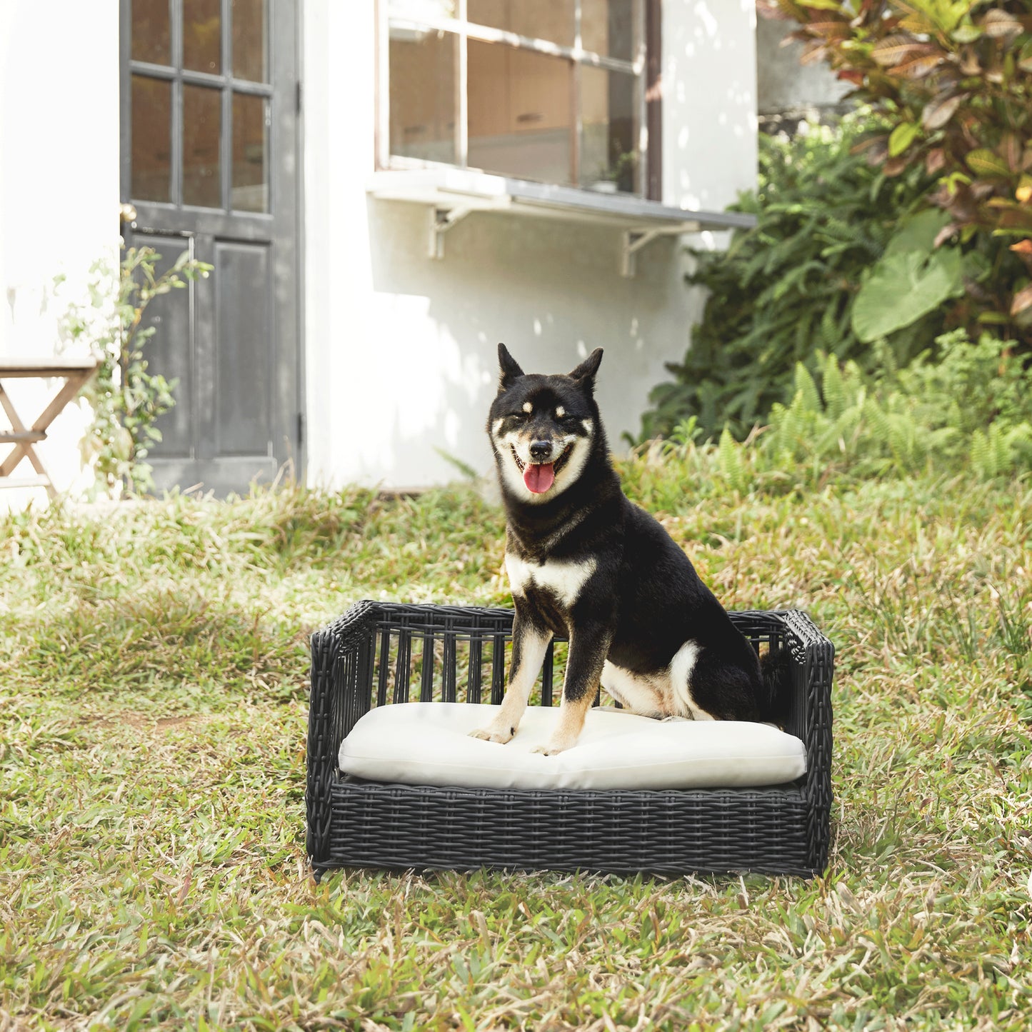 Cama y cojín para perros o gatos tejidos de ratán Teamson Pets