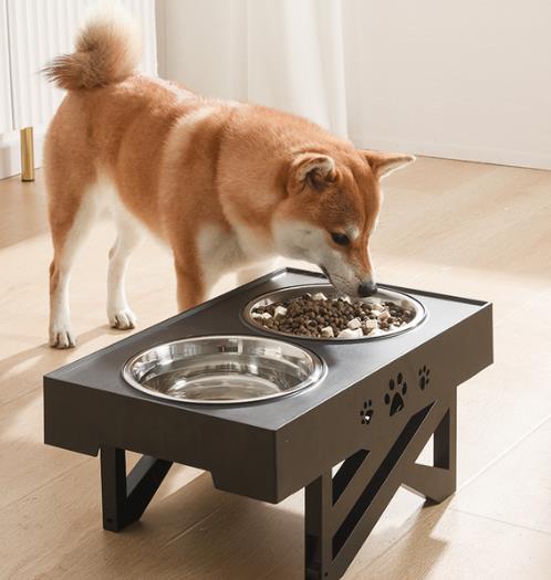 Adjustable Dog Feeder